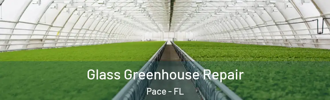 Glass Greenhouse Repair Pace - FL